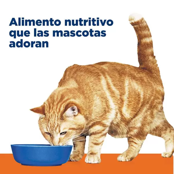 Hills Feline Lata Multicare Pollo C/D Alimento H Medo Para Gatos>Hill's Best