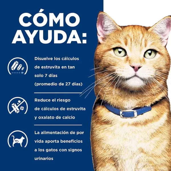 Hills Feline Lata Multicare Pollo C/D Alimento H Medo Para Gatos>Hill's Best