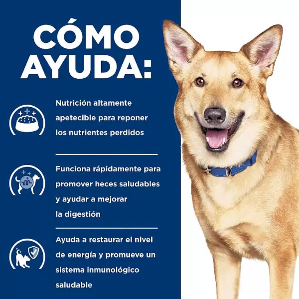 Hills Lata Canine I/D Cuidado Digetivo Alimento H Medo Para Perros>Hill's Fashion