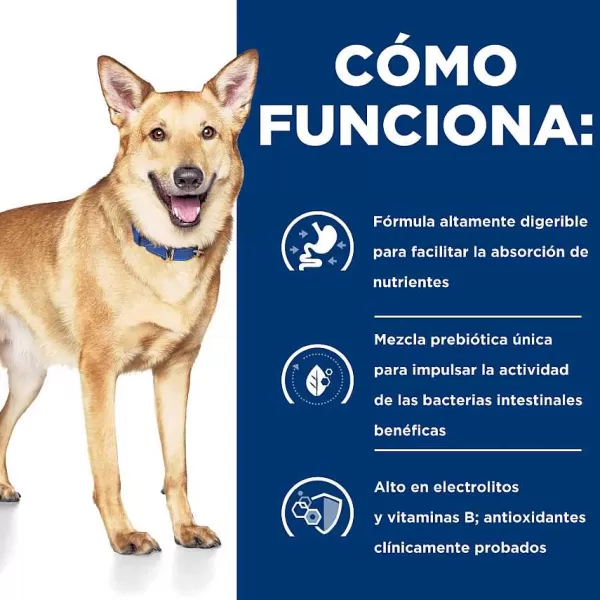 Hills Lata Canine I/D Cuidado Digetivo Alimento H Medo Para Perros>Hill's Fashion