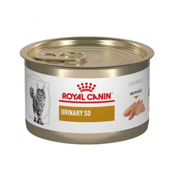 Adulto Urinary S/O Alimento H Medo Para Gatos>Royal Canin Hot