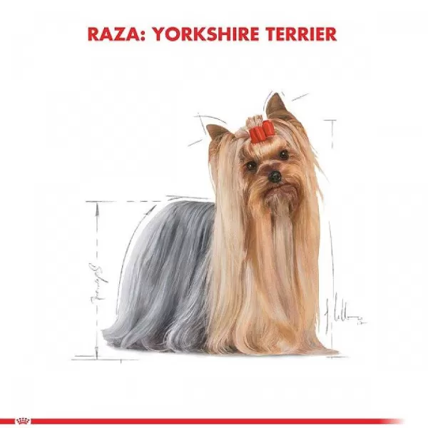 Adulto Yorkshire Terrier Adult Alimento Para Perro>Royal Canin Online