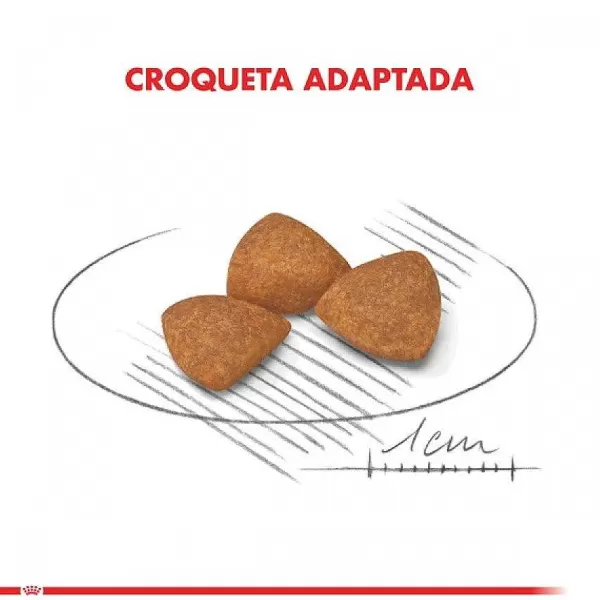 Alimento Seco Perro Adulto X-Small Ageing 12+ 1Kg>Royal Canin Hot
