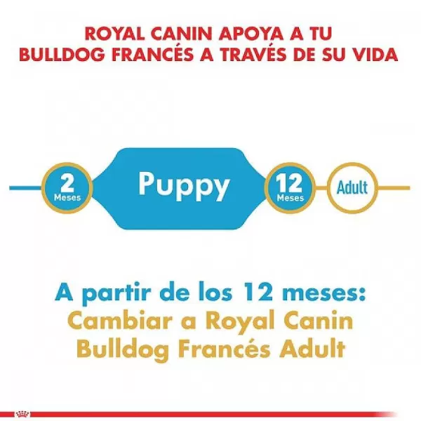 Cachorro Bulldog Frances Puppy Alimento Para Perro>Royal Canin Cheap
