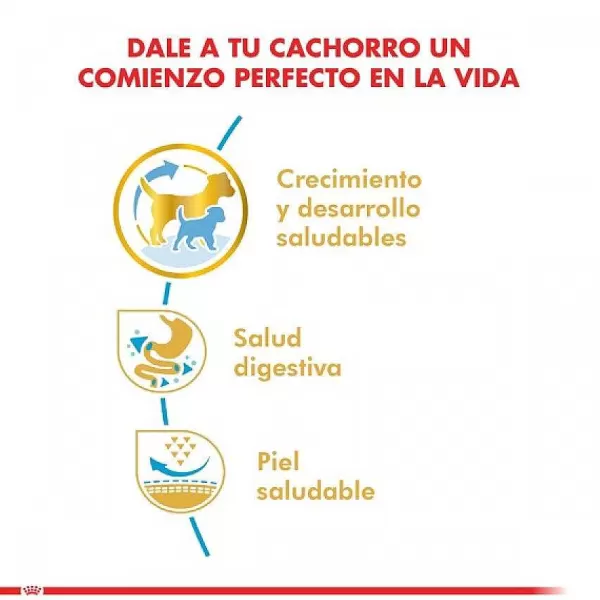 Cachorro Bulldog Frances Puppy Alimento Para Perro>Royal Canin Cheap