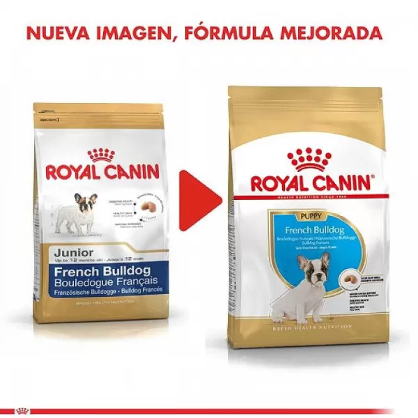Cachorro Bulldog Frances Puppy Alimento Para Perro>Royal Canin Cheap