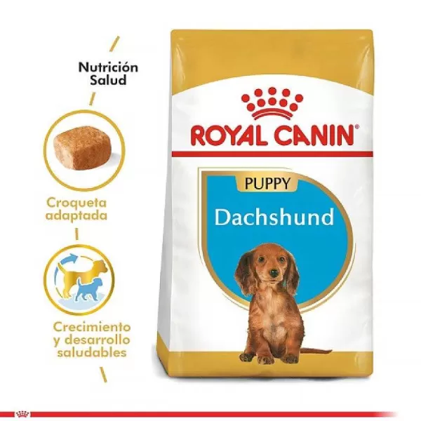 Cachorro Dachshund Junior Alimento Para Perro>Royal Canin Clearance