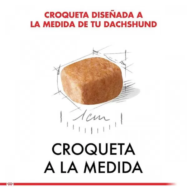 Cachorro Dachshund Junior Alimento Para Perro>Royal Canin Clearance