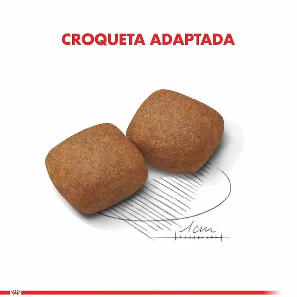 Cachorro Giant Junior 15 Kg Alimento Para Perro>Royal Canin Discount