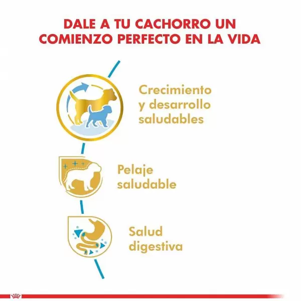Cachorro Yorkshire Terrier Junior Alimento Para Perro>Royal Canin Best Sale