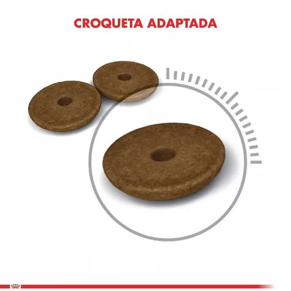 Adulto Digestive Care Alimento Para Gatos>Royal Canin Cheap